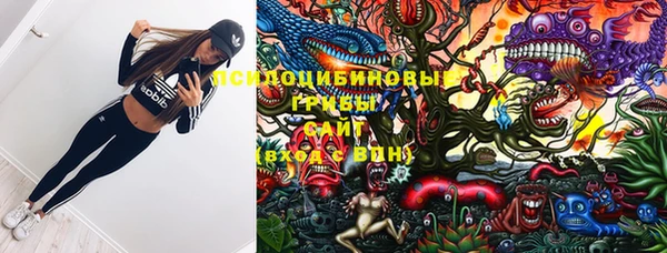 эйфоретик Куйбышев