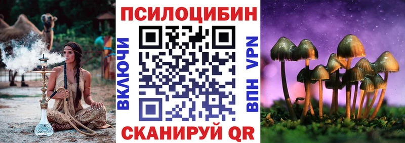 Псилоцибиновые грибы мицелий  закладка  Малмыж 