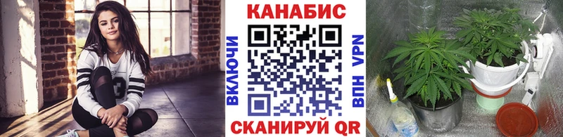 Бошки Шишки гибрид Малмыж